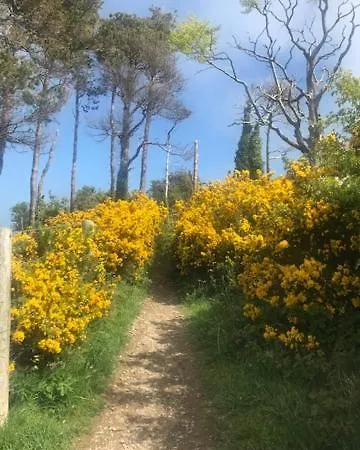 Dublin South, Beautiful Apartment Bray