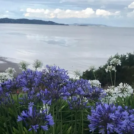 Dublin South, Beautiful Bray