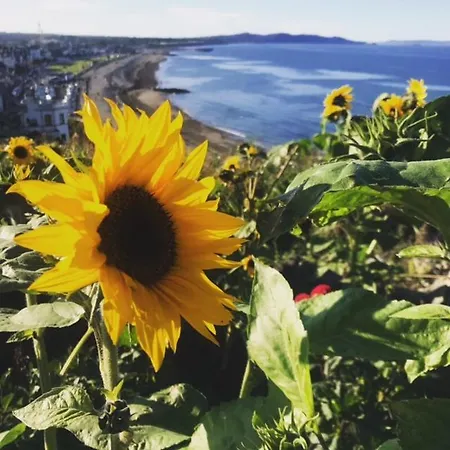 Dublin South, Beautiful Bray